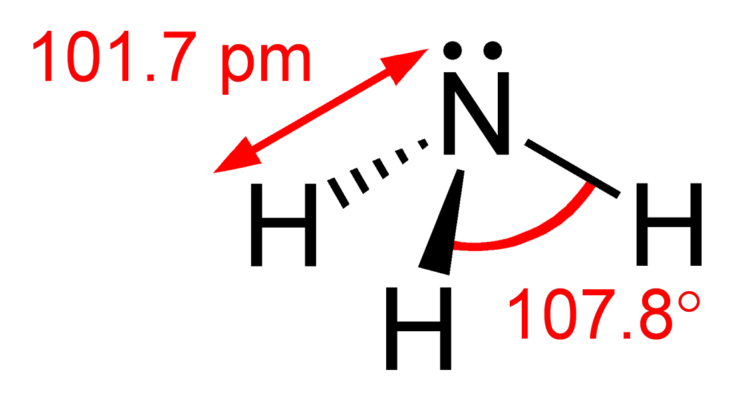 氨是极性的还是非极性的