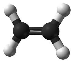 ethene-3D