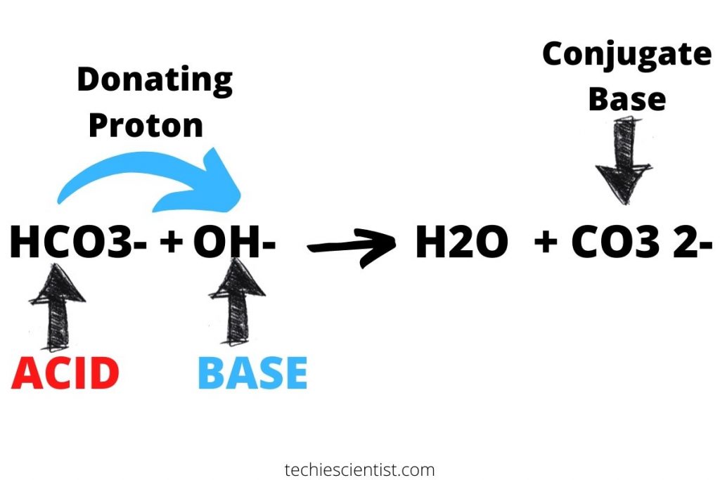 HCO3 Bronsted Lowry酸