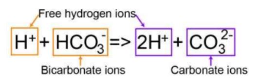 碳酸氢盐到碳酸盐离子