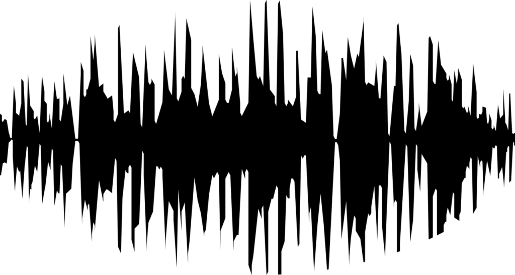 声波能极化吗