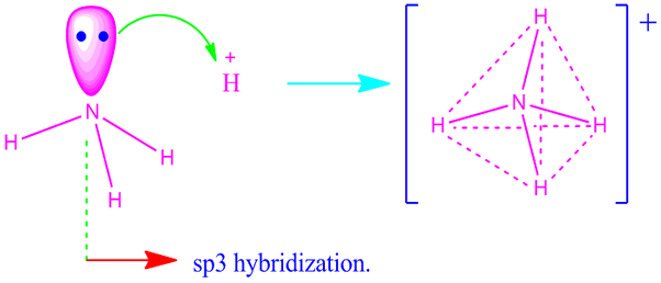 NH4+ Lewis结构，分子几何和杂交-技术科学家万博网页版 - 万博网页版,万博体育app手机版登录