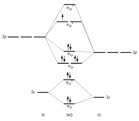 NO Lewis结构，分子几何，杂交，和MO图-技术科学家万博网页版 - 万博网页版,万博体育app手机版登录