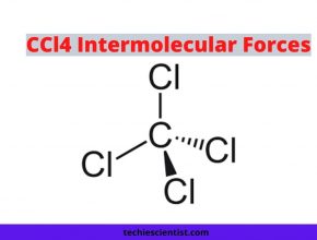 CCl4 Intermolecular Forces
