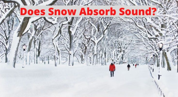 雪能吸收声音吗