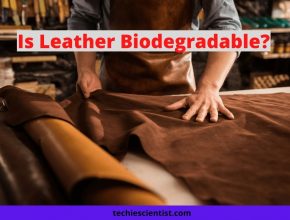 Is Leather Biodegradable