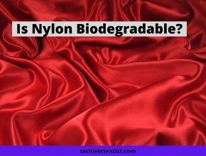 Is Nylon Biodegradable